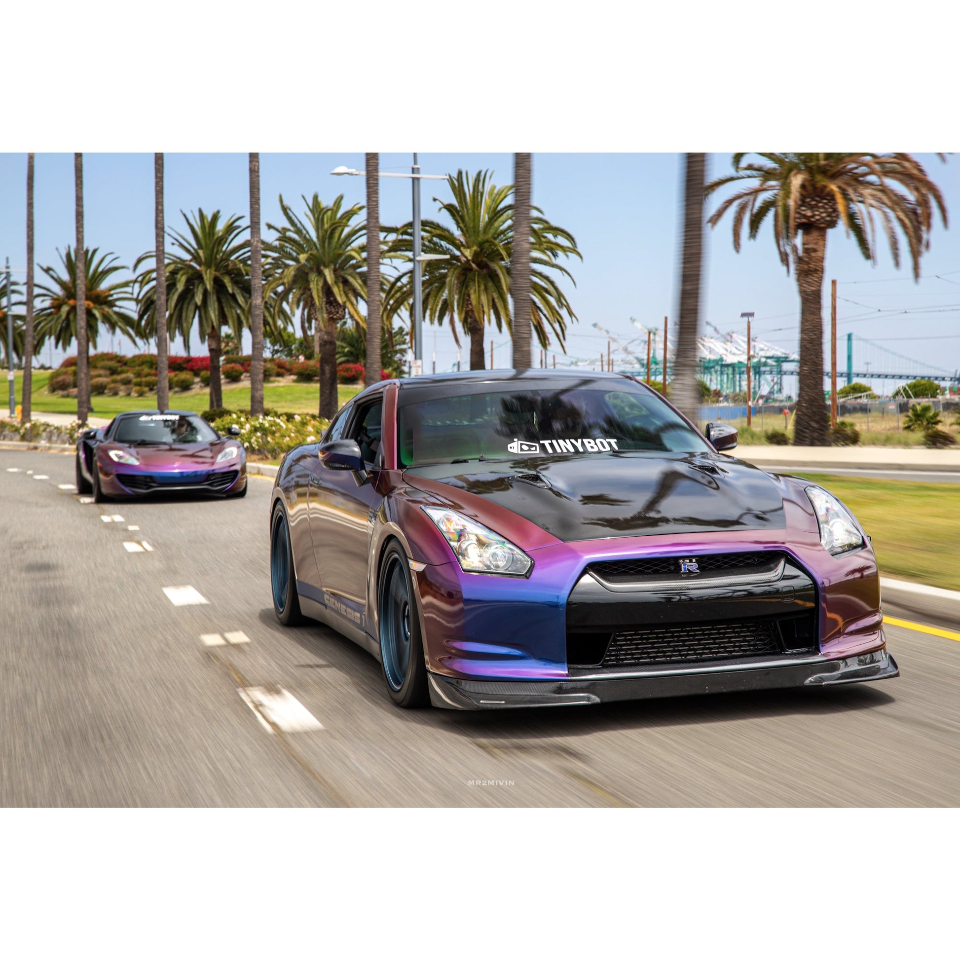 Tinybot Exclusive Vinyl Wrap