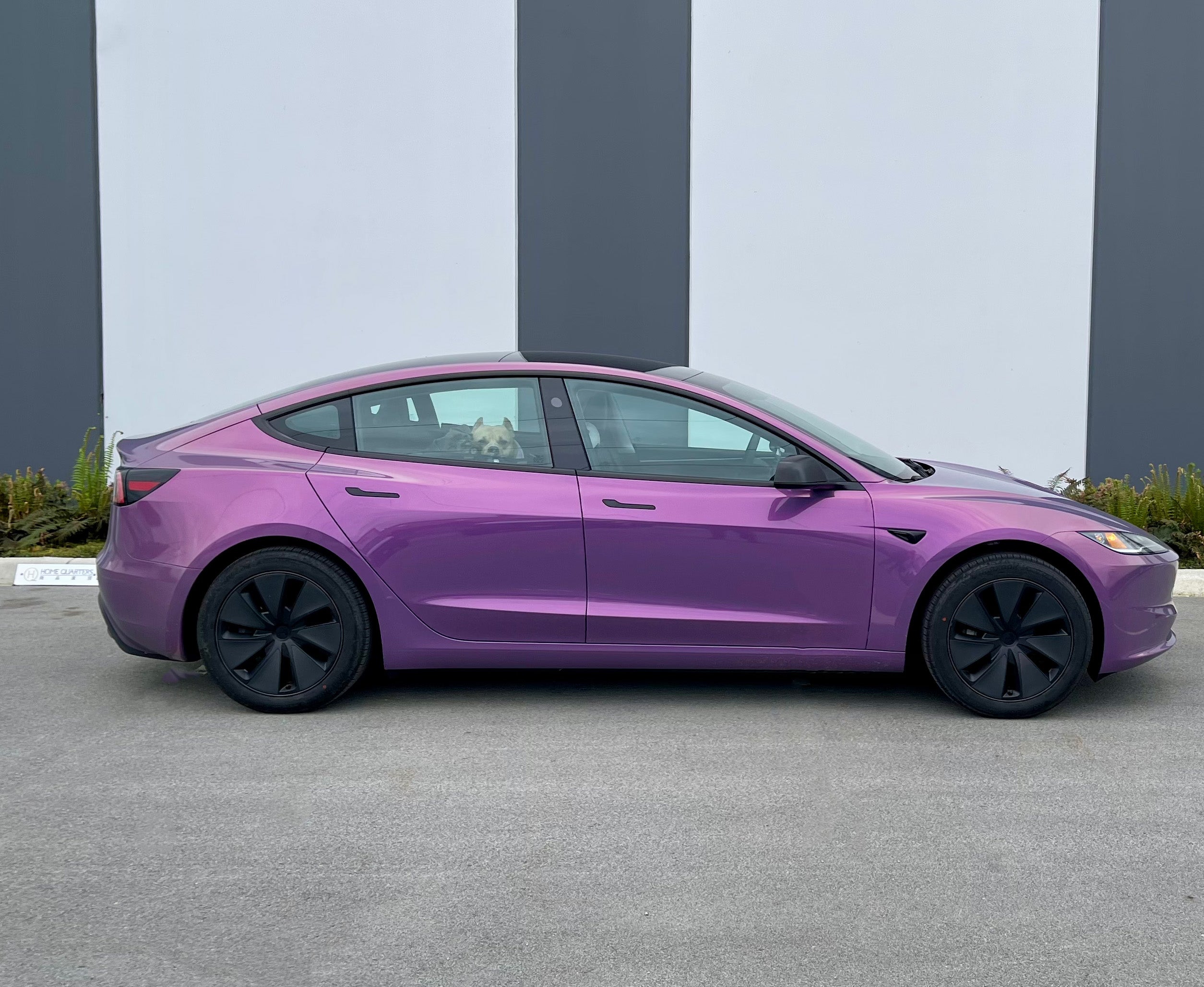 Gloss Galaxy Dust Fantasy Purple Vinyl Car Wrap-Tinybot Vinyl