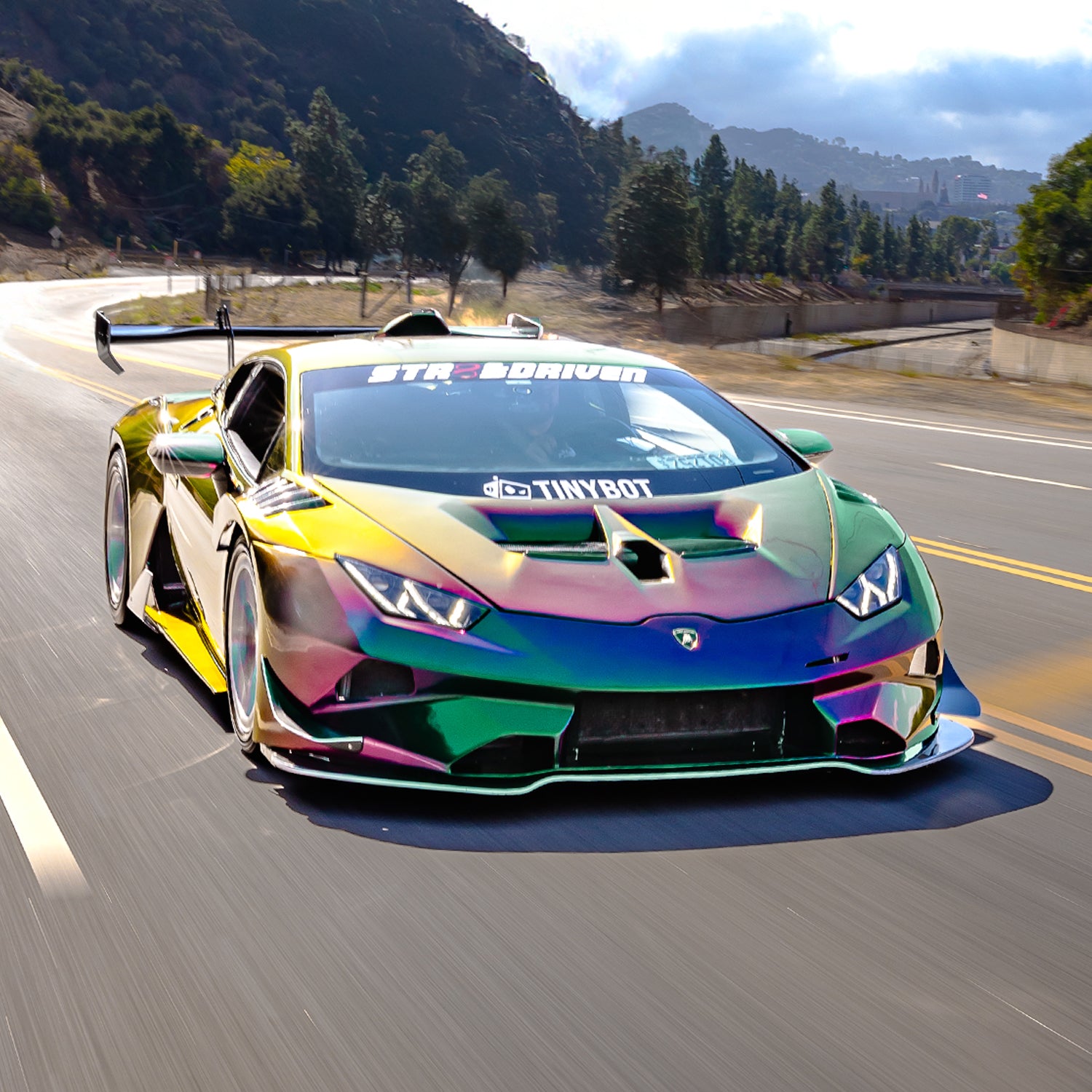 Halo Vinyl Wrap