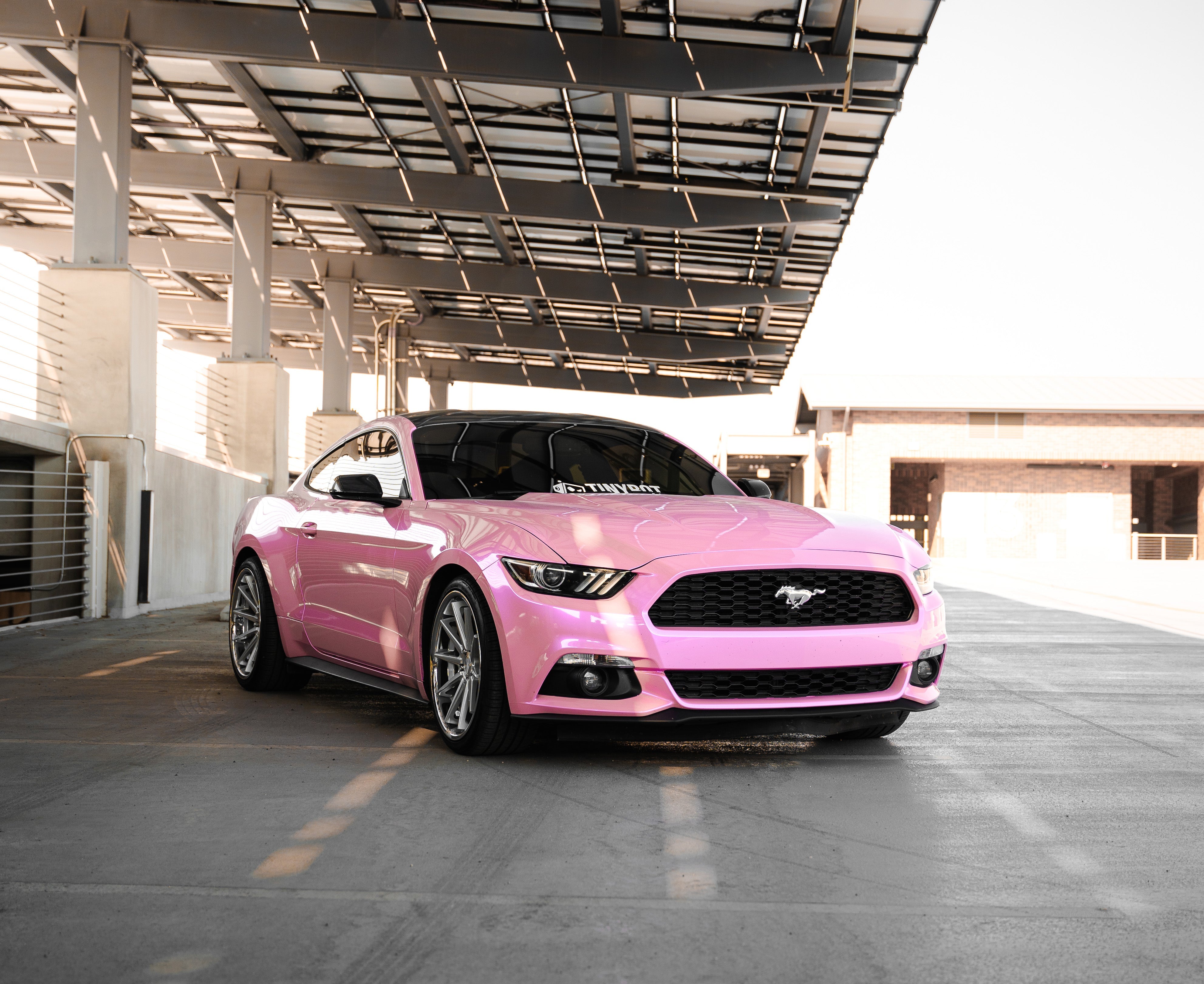 Space Candy Pink Vinyl Car Wrap-Tinybot Vinyl – Tinybot Vinyl Canada