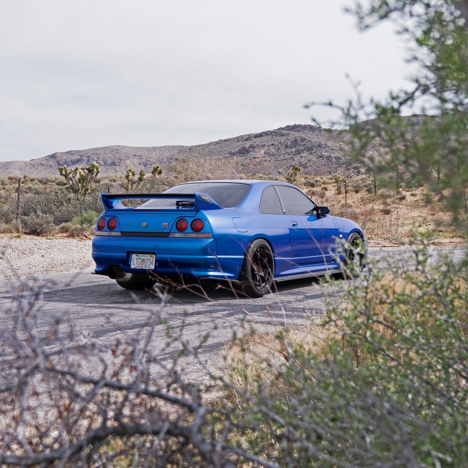 Bayside Blue Vinyl Car Wrap- Tinybot Vinyl